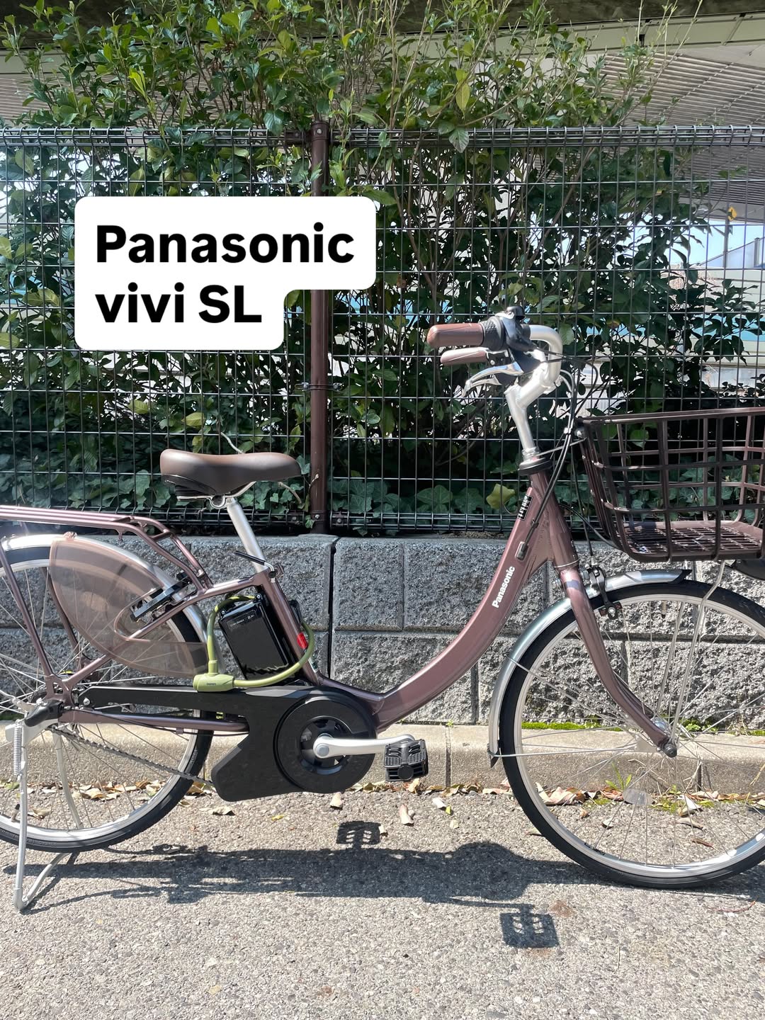 Panasonic vivi SL